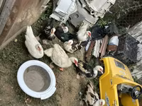 Ducks — عکس 4