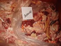 Жилка говяжья — picha 4