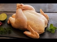 Chickens — fotografija 7
