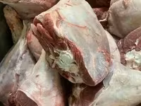 Мясо индейки прямо от производителя — foto 2