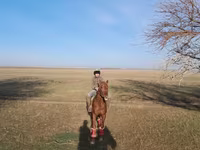 Ձի, Ձիեր — լուսանկար 3