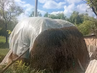 Vind 2 jirezi de lucerna una e lucerna curata a doua e amestecata cu fîn. — foto 2