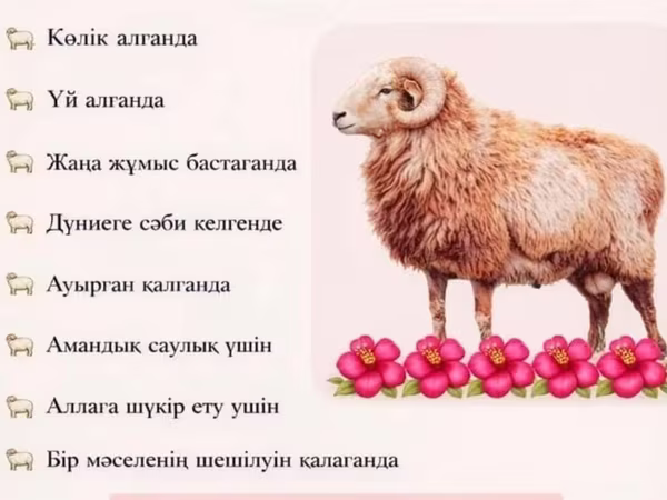 Խոյ, Ոչխարներ