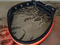 Վզկապ լույսով շների համար — foto 4
