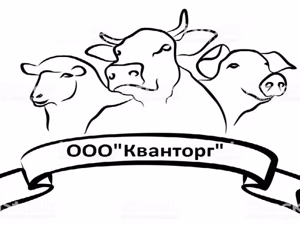 Говяжья аорта