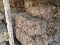 Խոտի տուկ խոտ սարի խոտ — foto 4