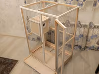 Papuqay,dovşan,hamster,şinşila,bildirçin,cücə,xamyak,pişik,quş,tısbağa — foto 2
