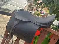 گھوڑی, گھوڑے — تصویر 7