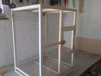 Papuqay,dovşan,hamster,şinşila,bildirçin,cücə,xamyak,pişik,quş,tısbağa — fotografija 4