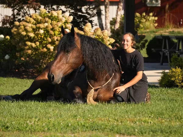 Адуу, Racking Horse