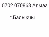 قوچ, گوسفند — عکس 6