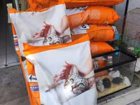 It pişik yemləri ucuz qiymət — 2 зураг