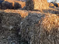 Продаю чоклеш — foto 3