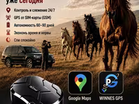 Лошади, ЖПС, GPS, GSM, ЖПС для лошадей, жылкыга ЖПС — عکس 1