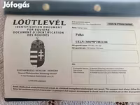 Kůň, Koně — foto 3