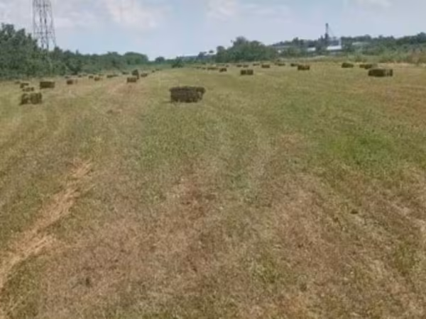 Bind Lucerna prima coasa are si un pic de iarna prin trinsa.