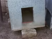 Satılır 70 manat.İt yuvası.Dəmir içi lambirin və — عکس 5