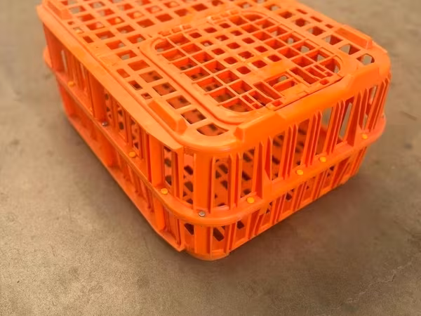Toyuq daşımaq üçün səbət narıcı (balaca) Bu məhsul, toyuq və digər