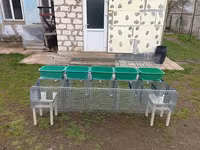 Cuști pentru iepuri клетка для кроликов — รูปภาพ 1