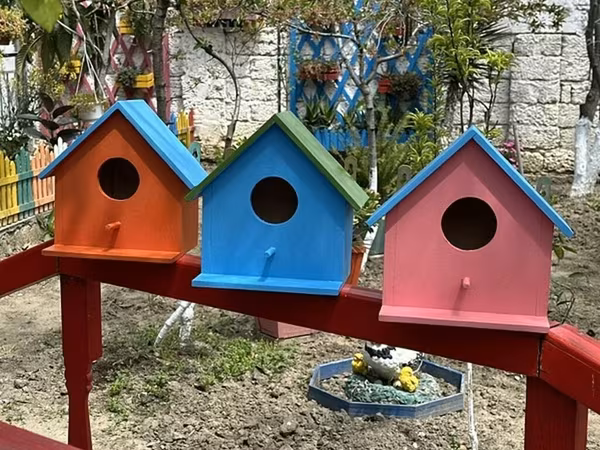 Məhsul: Rəngarəng taxta quş yuvaları Təsvir: - Bağ, həyətyanı sahə və