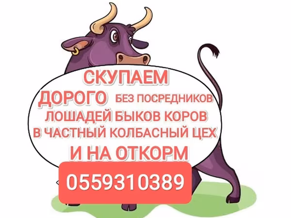 Говеда