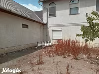 Geese — foto 3
