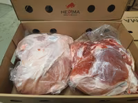 Sow, Pigs — photo 3