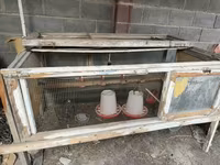 Продаю готовый комплект для небольшого бизнеса по выращиванию — Foto 1