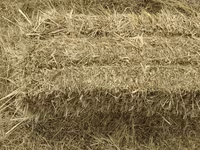 Ot presi satılır, Bəbəli kəndində. Çəkisi 25-30kg - 1 ədəd 2 manat 30 — عکس 2