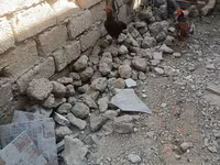 Chickens — Foto 3