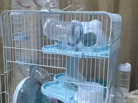 Продаются 2 клетки для хомяков в идеальном состоянии.Hamster üçün tam — عکس 2