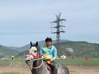 Koń, Orlov Trotter — zdjęcie 1
