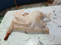 برنزی — عکس 3