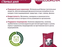 Бмвд Для Свиней 30-65 Кг Ava Zdorova Гровер 15%, 25 Кг — сүрөт 2
