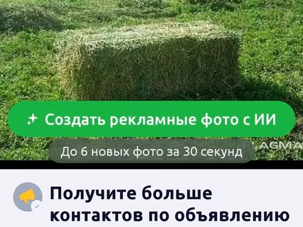 Сено люцерновое в тюках - Кормовое сено из люцерны, спрессованное в