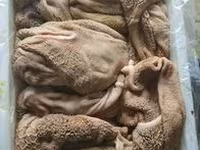 Закупаем на постоянной основе. Субпродукты для кормления домашних животных. — fotografija 1