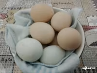 婆罗门鸡 — 照片 2