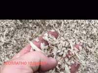 Жом,жём,жем с доставкой !!! Не дорого!!!Для крупного рогатого скота и — 1-сурет