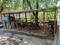گوسفند (گروه، جنسیت مشخص نشده), گوسفند — عکس 3