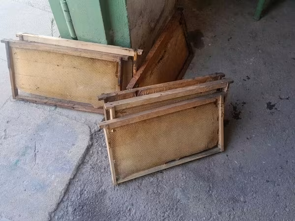 Arıçılıq üçün taxta çərçivələr - Material: möhkəm taxta karkas