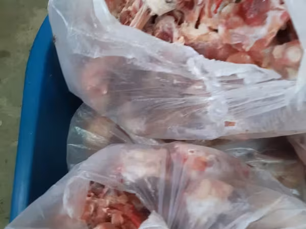 Հավի ոսկոր Շան կեր