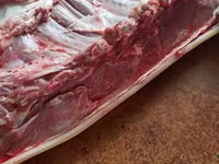 Porci (lot, sex nespecificat), Ландрас — foto 4