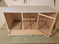 Papuqay,dovşan,hamster,şinşila,bildirçin,cücə,xamyak,pişik,quş,tısbağa — عکس 5