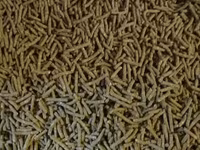 Granule pentru iepuri de calitate superioara.Edineț.facem livrare — zdjęcie 2