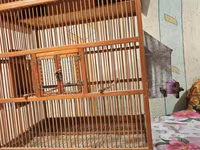 Taxta quş qəfəsi – ev formasında dizayn - Material: təbii ağac və — photo 3