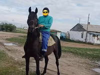 Koń, Konie — zdjęcie 1
