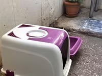 Pişik üçün iki hissəli tualet dəsti - Rəng: bənövşəyi-ağ - Komplekt — foto 2
