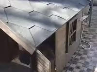 İsti pol ilə it evi - Material: möhkəm taxta konstruksiya, ikiqat — Foto 2