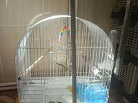 Quş qəfəsi – aksesuarlarla birlikdə - Forma: yarımdairə damlı, metal — foto 4