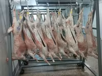 Субпродукты говяжьи — foto 4